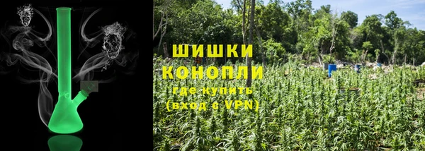 молекула духа Заводоуковск