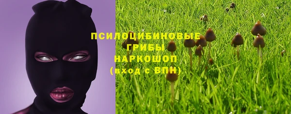 эйфоретик Нижневартовск