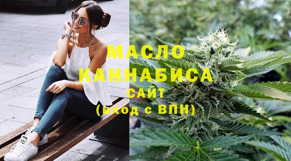 молекула духа Заводоуковск